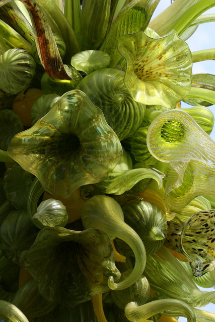 Plant Glass