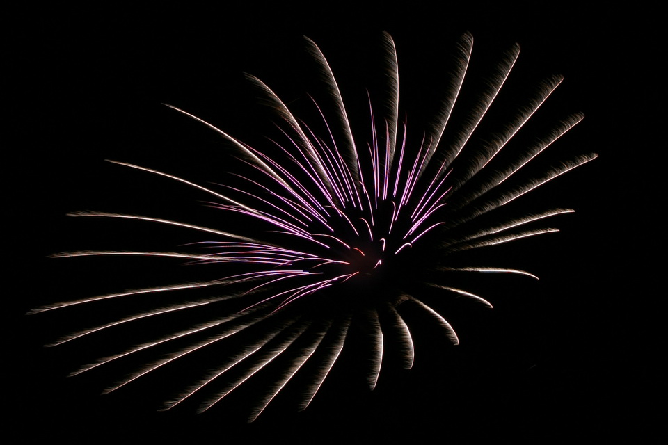 Sky Flower