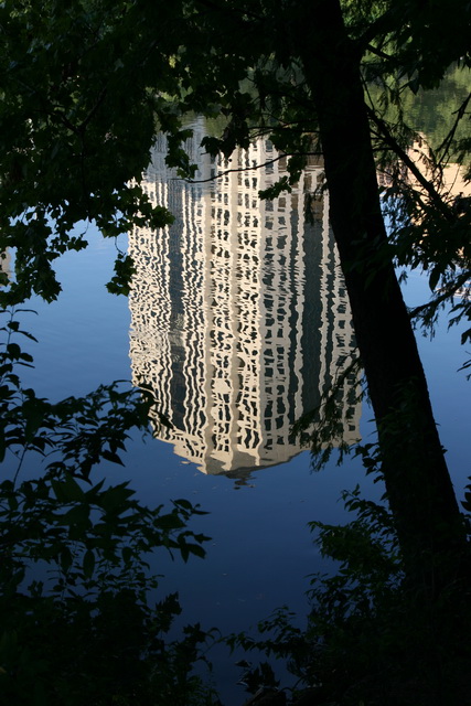 Austin Reflection