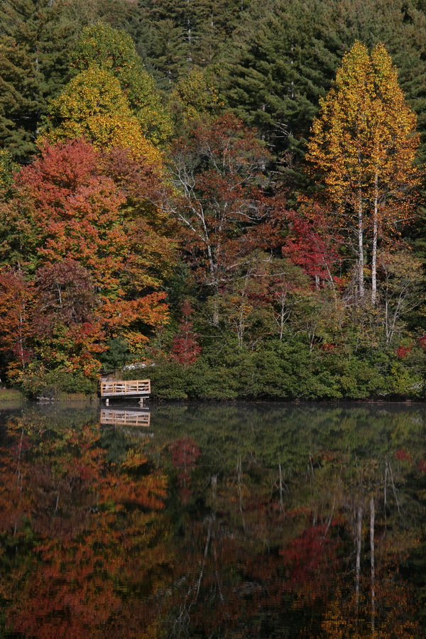 Colorful Dock