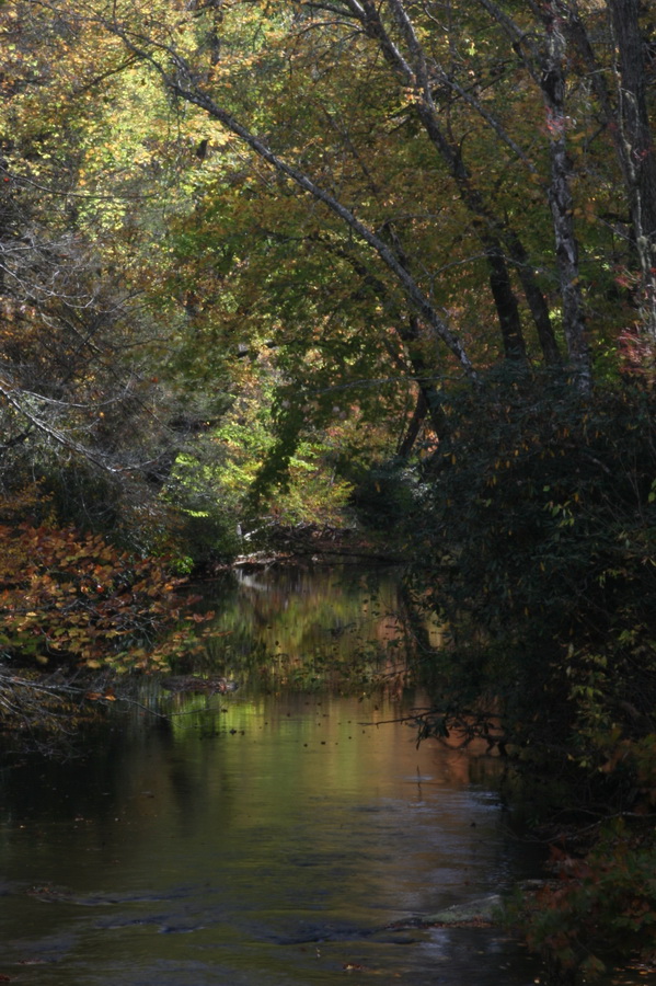 Quite Stream