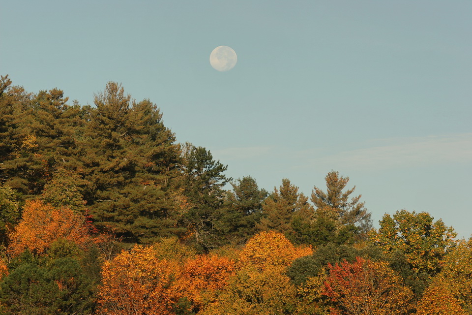 Fall Moon