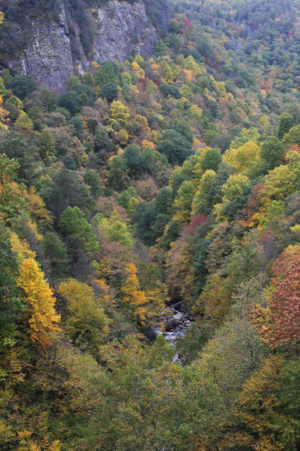 Cullasaja Gorge