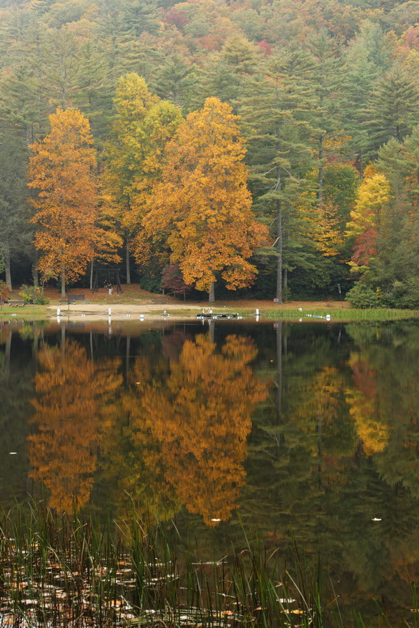 Misty Lake