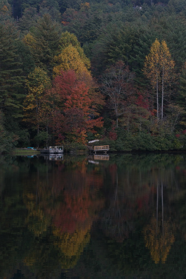 Fall Color