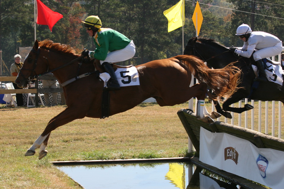 Steeplechase