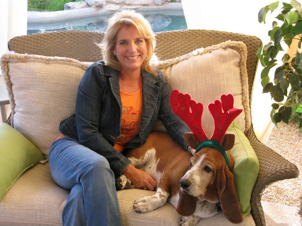 Bassett in Antlers