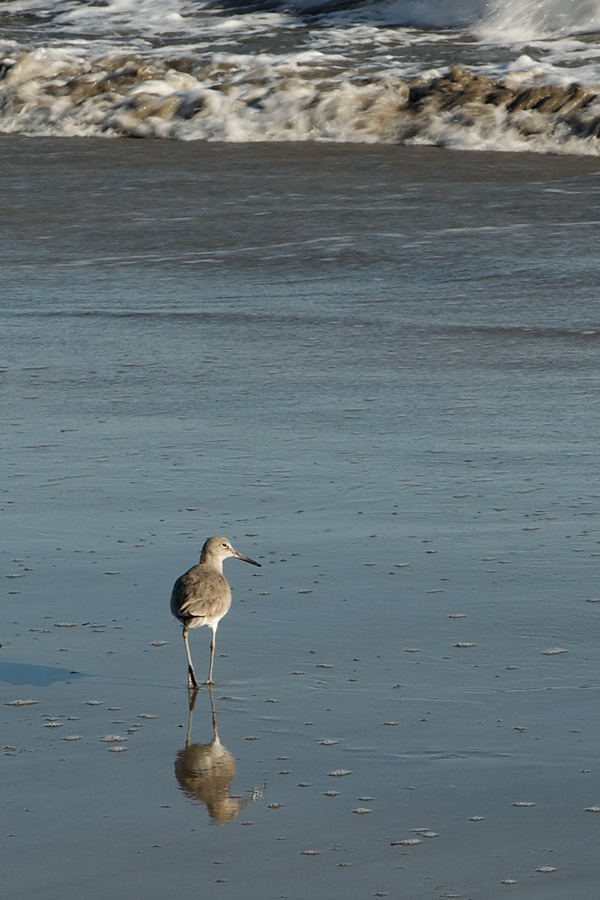 Enjoying the Beach