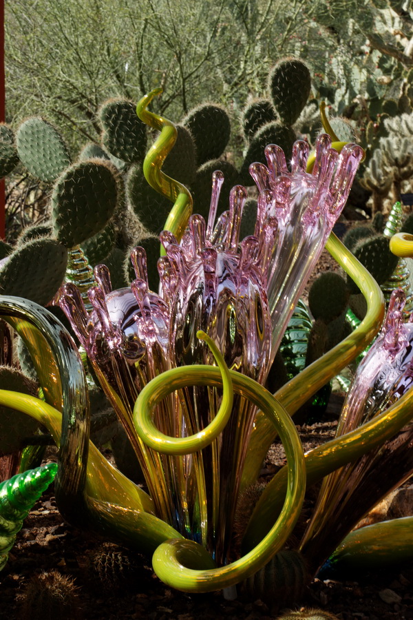 Glass and Prickly Pear