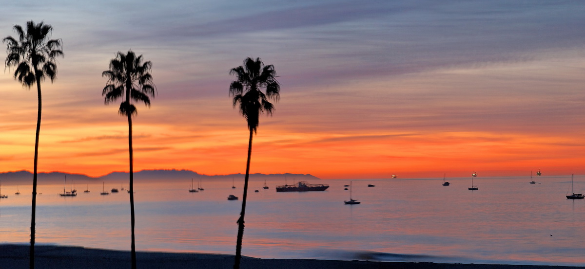 Three Palms