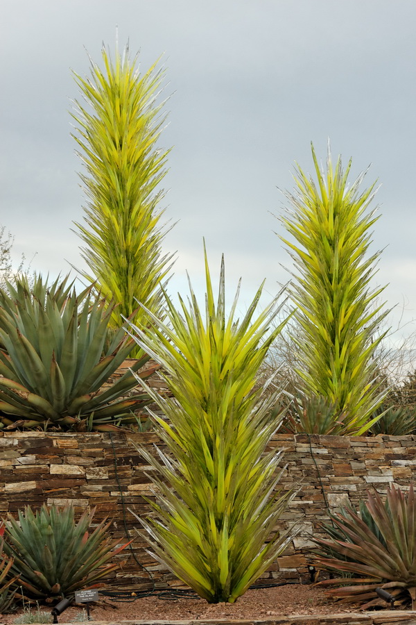 Desert Wildflower Towers