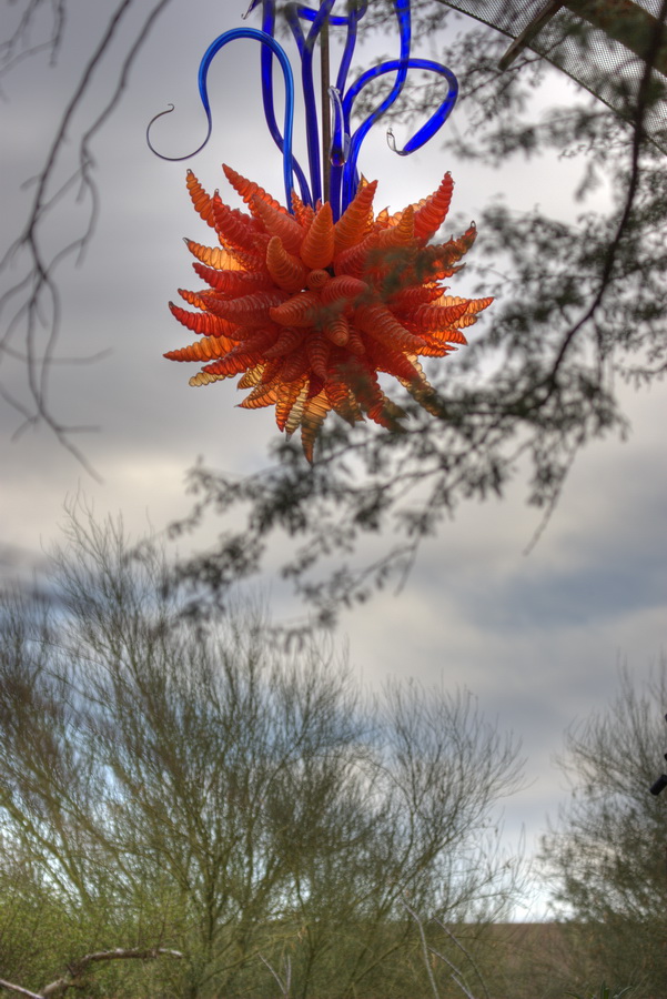 Orange Hornet and Eel Grass Chandelier