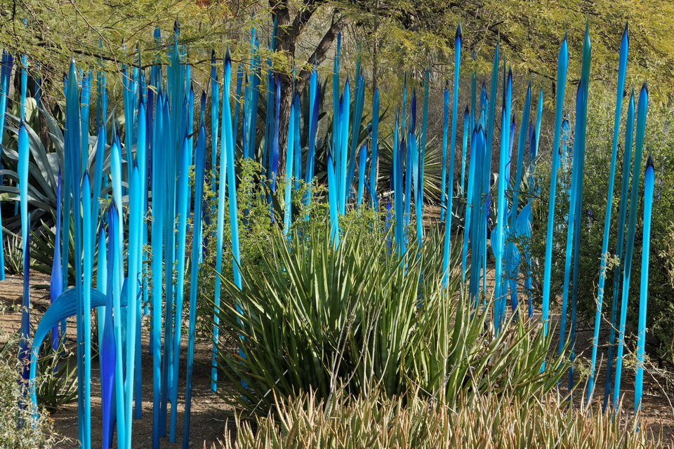 Blue Reeds