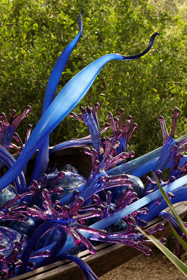 Blue and Purple Boat