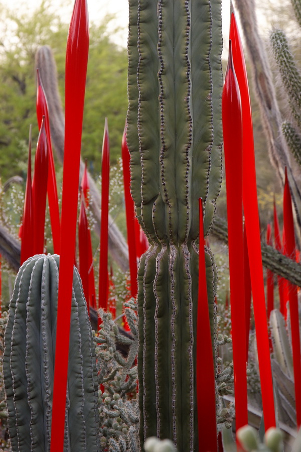 Surrounded in Red