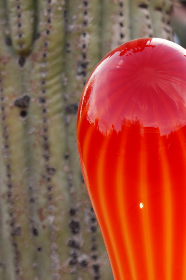 Red Reflections