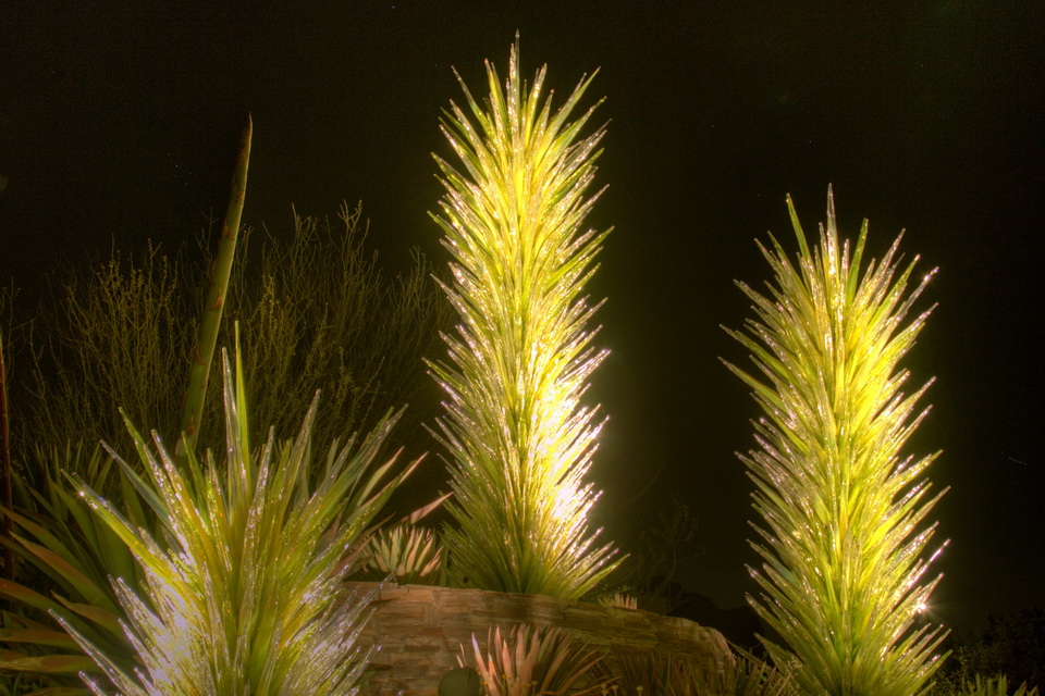 Glass Agave