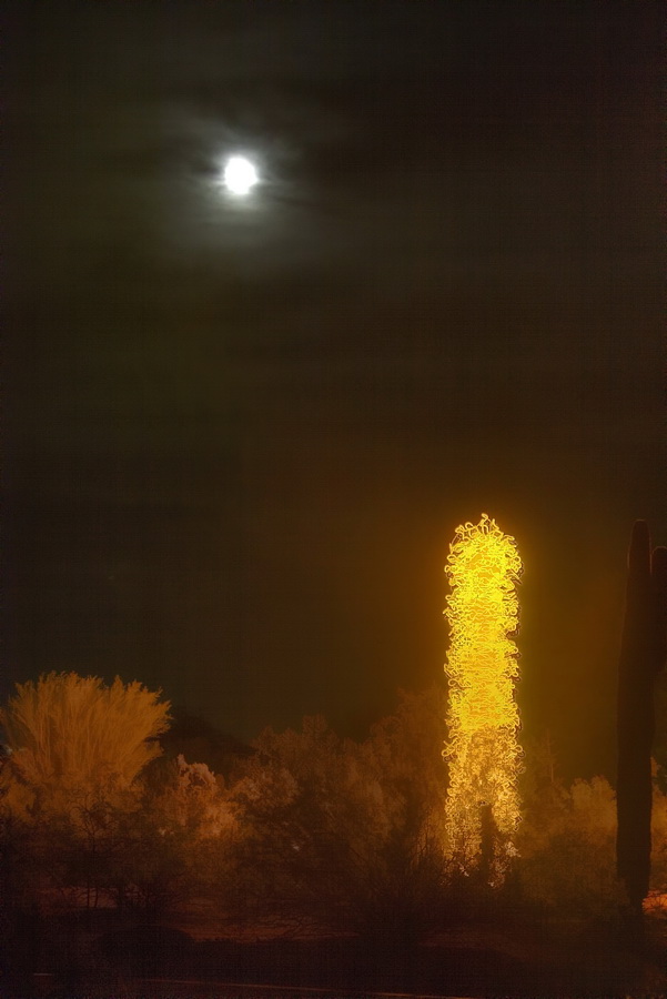 Yellow Desert and Moon
