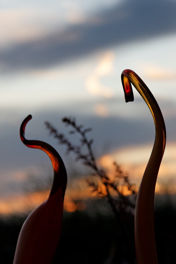 Sunset Glass