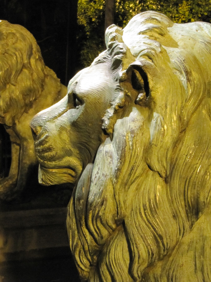 Guard Lions