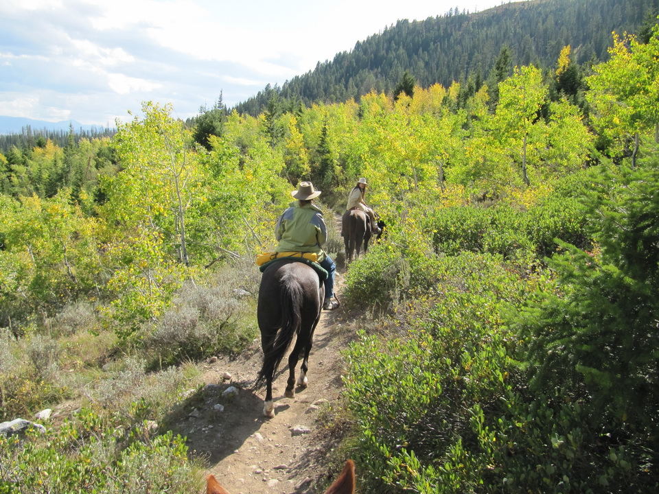 High in the Foothills