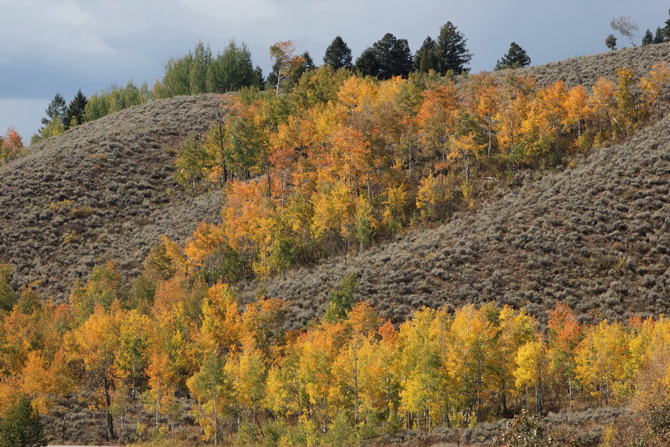 Colorfull Hill