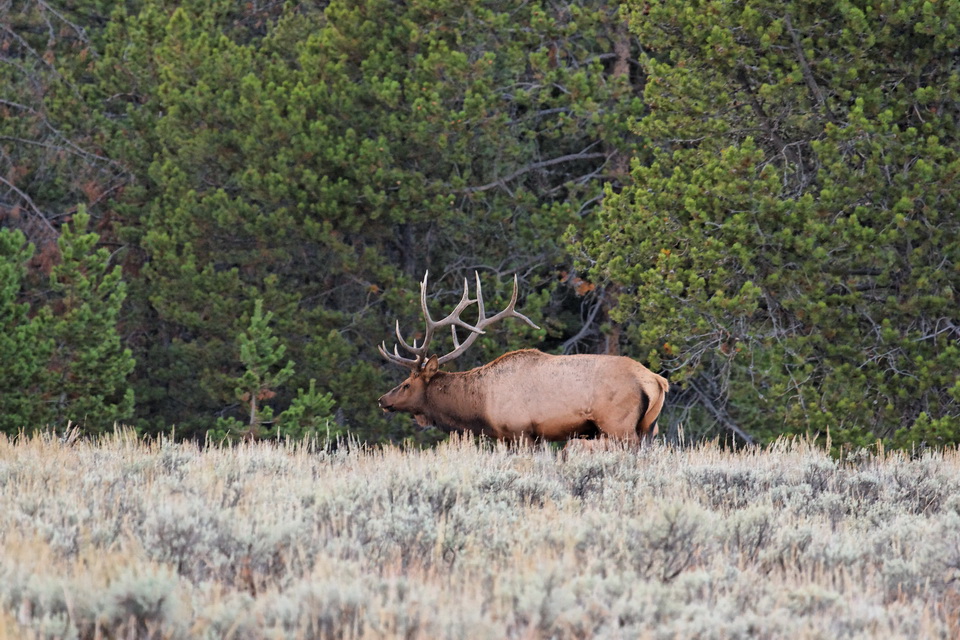 Nice Rack