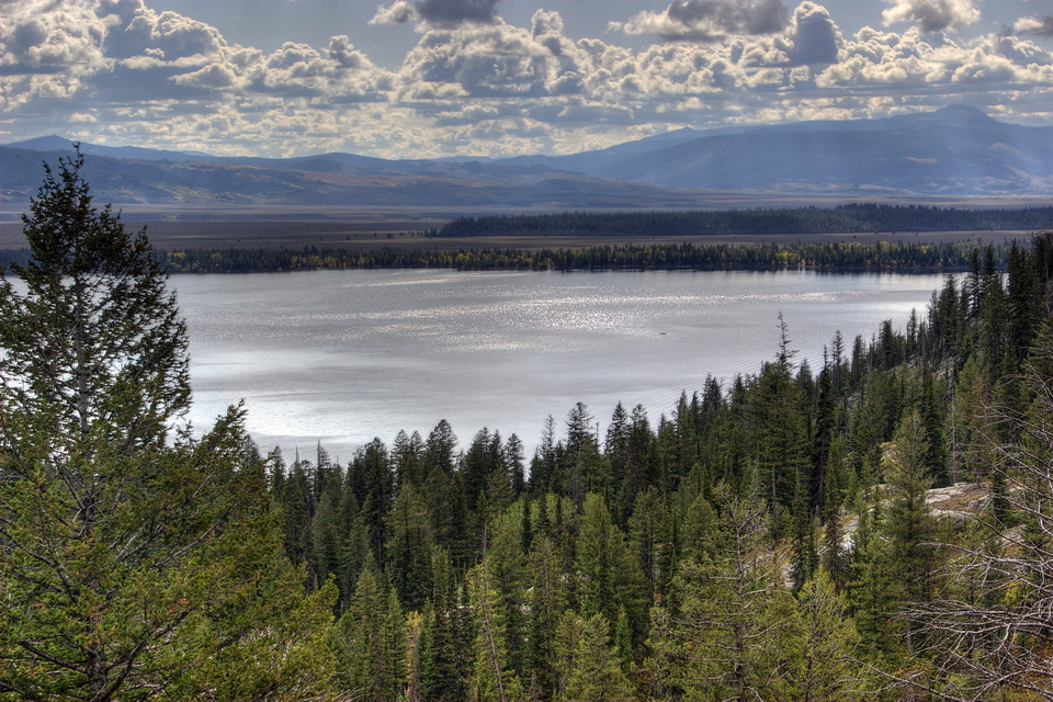 Jenny Lake