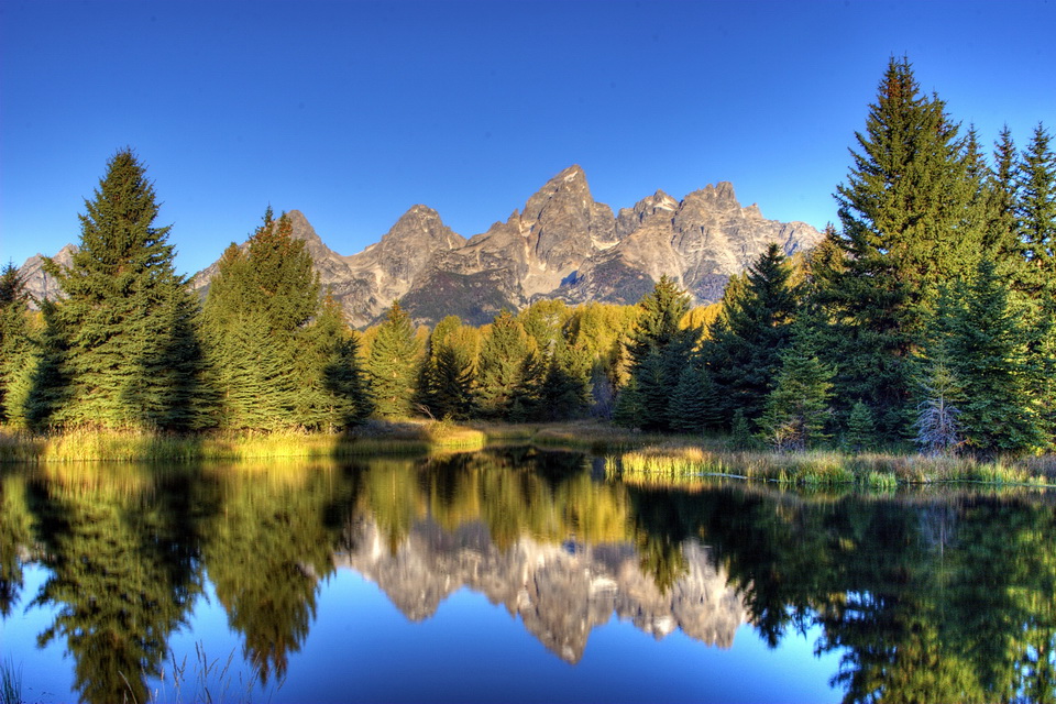 Reflections