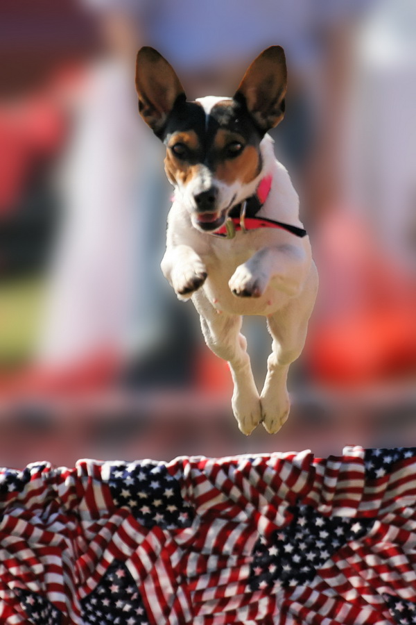 Airborne