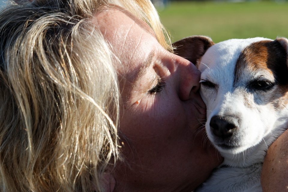 Terrier Love