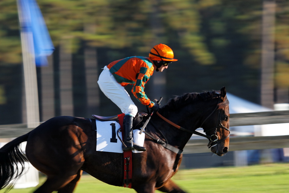 A Flash of Orange