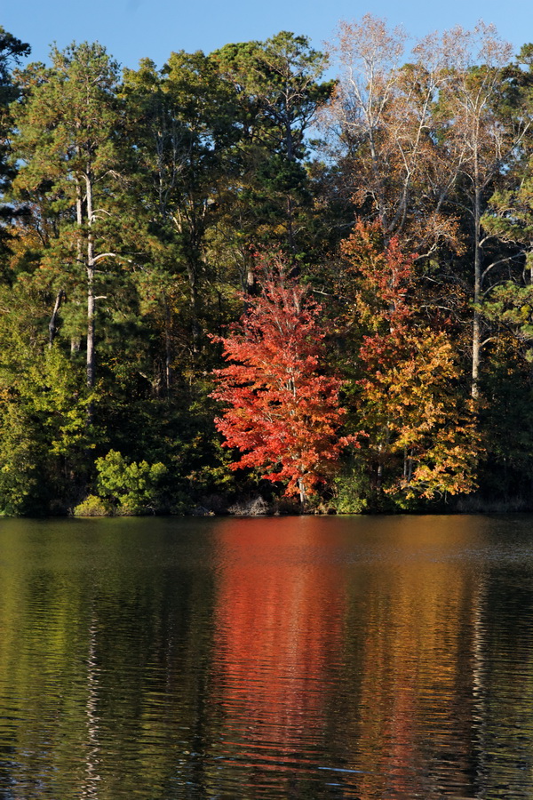 Red Reflection
