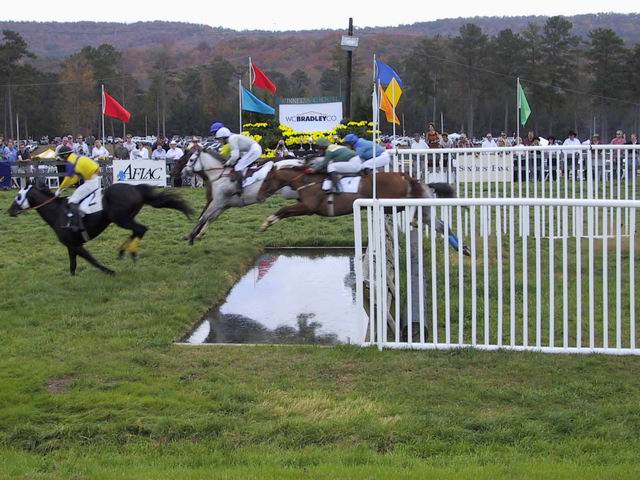 Columbus Steeplechase 2001