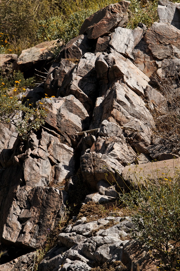 Rocky Cut