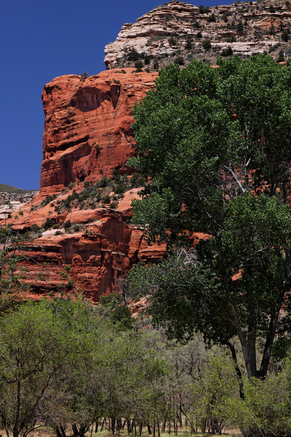 Red Canyon