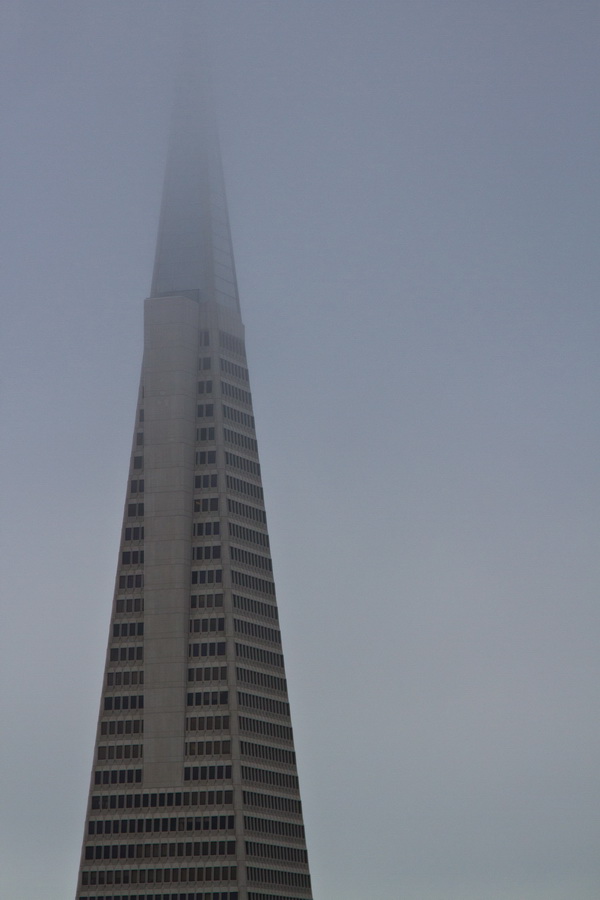 Into the Clouds