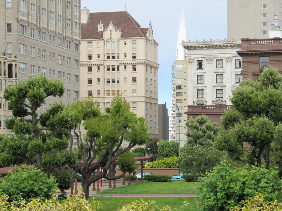 The Top of Nob Hill