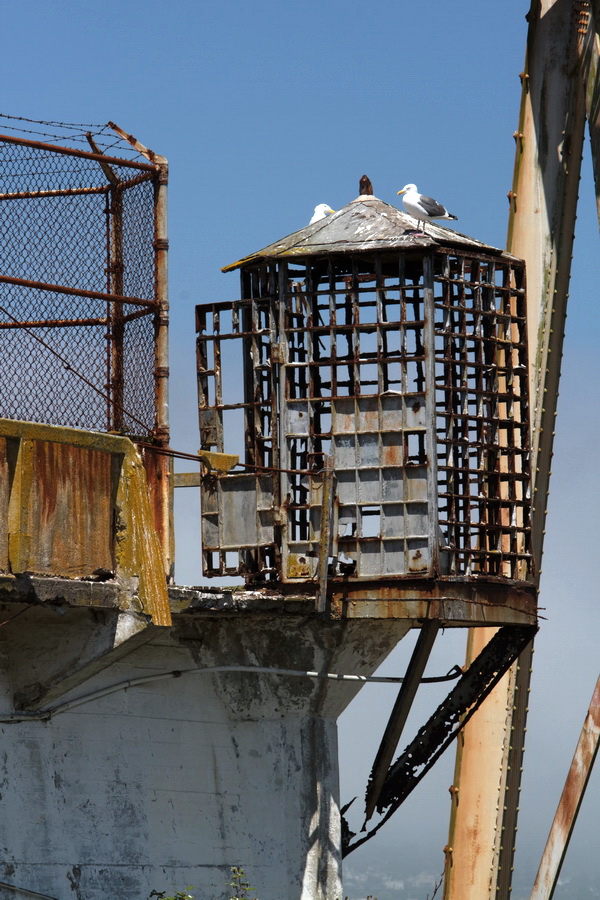 Roost Tower