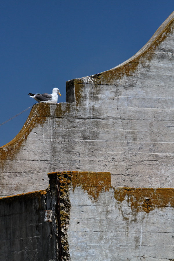 Prison Roost