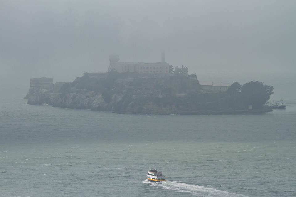 Into the Fog