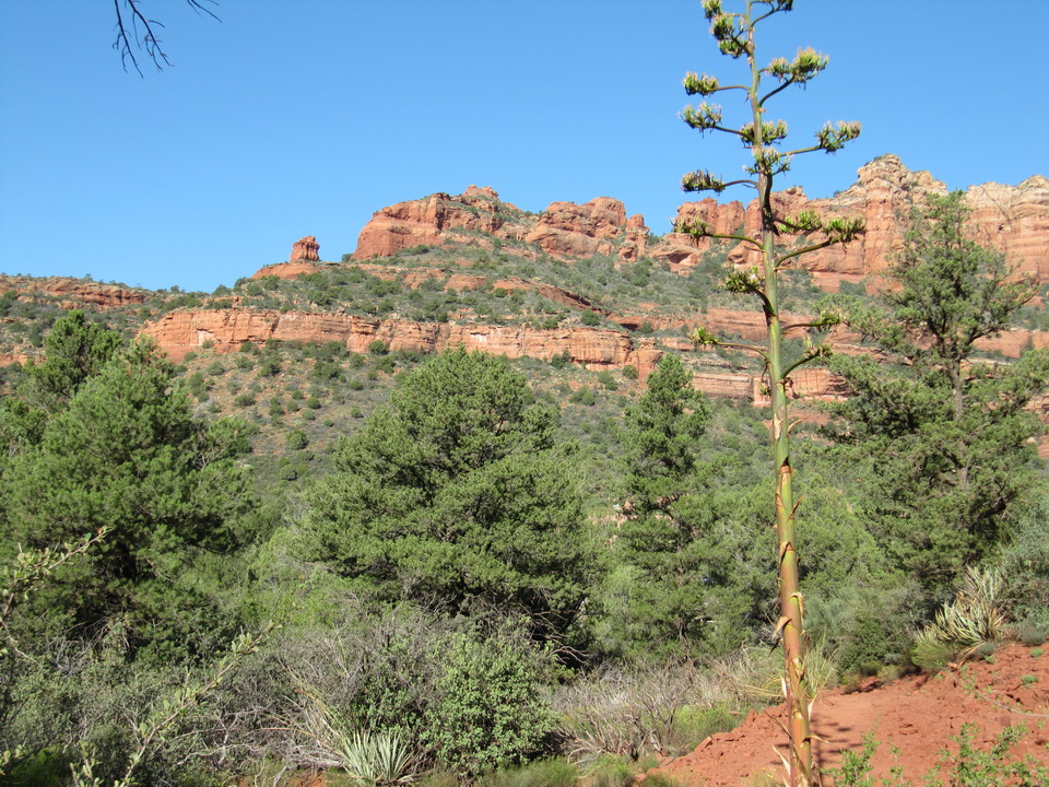 Red Rocks