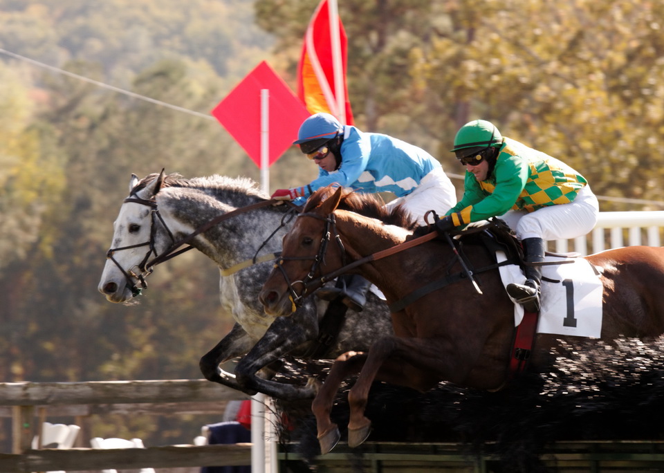 Race by a Nose