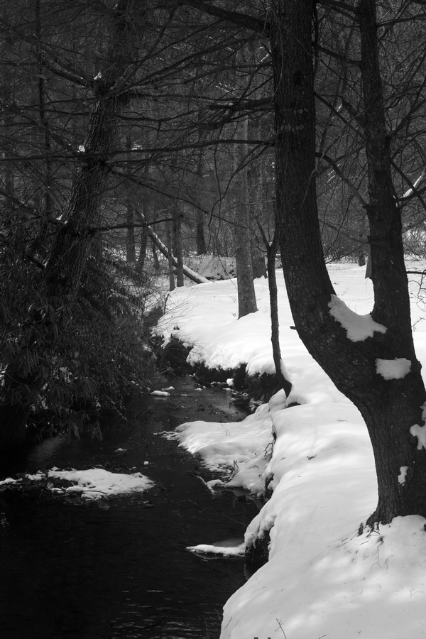 Winter Stream
