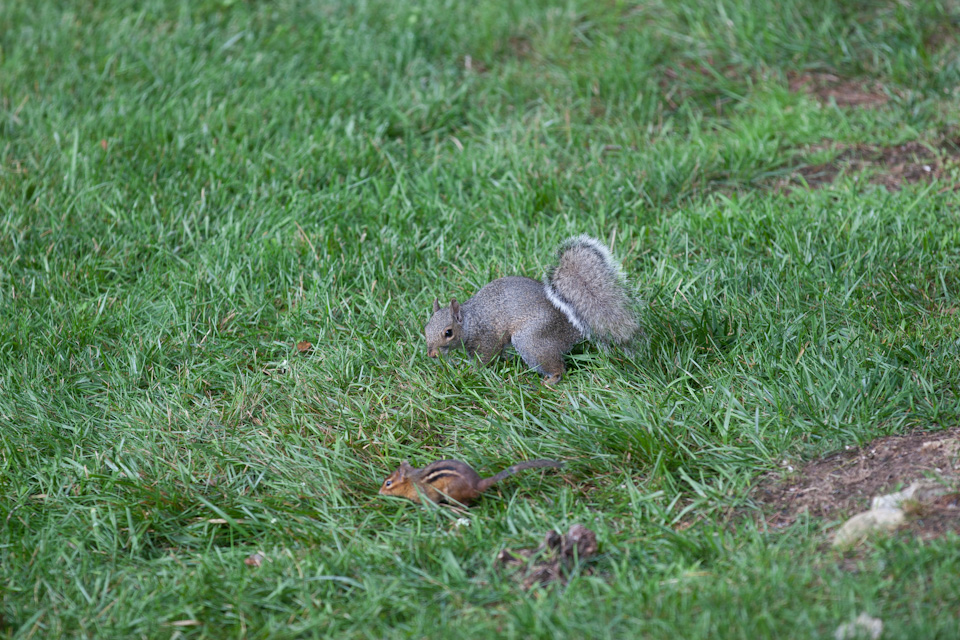 Looking for Seeds