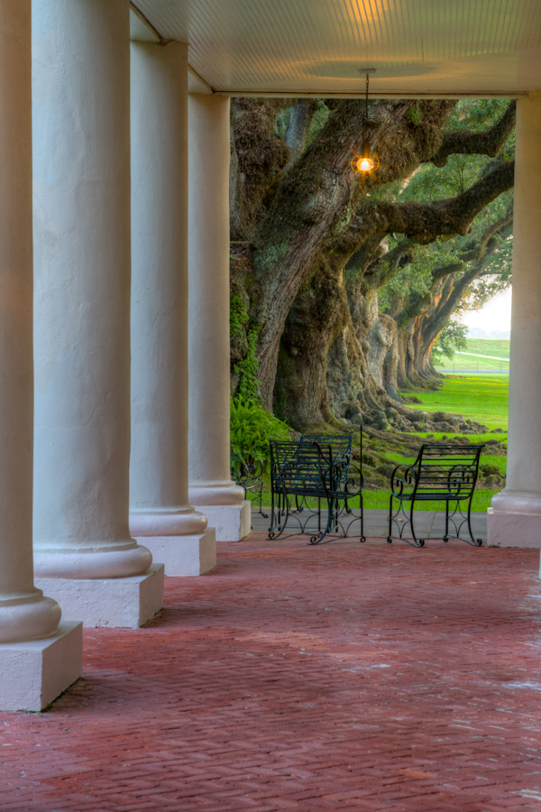 Columns to Trees