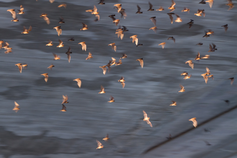 Moving Fast
