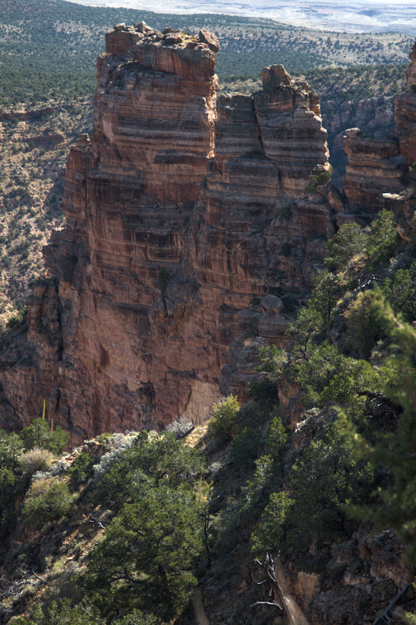 Desert View