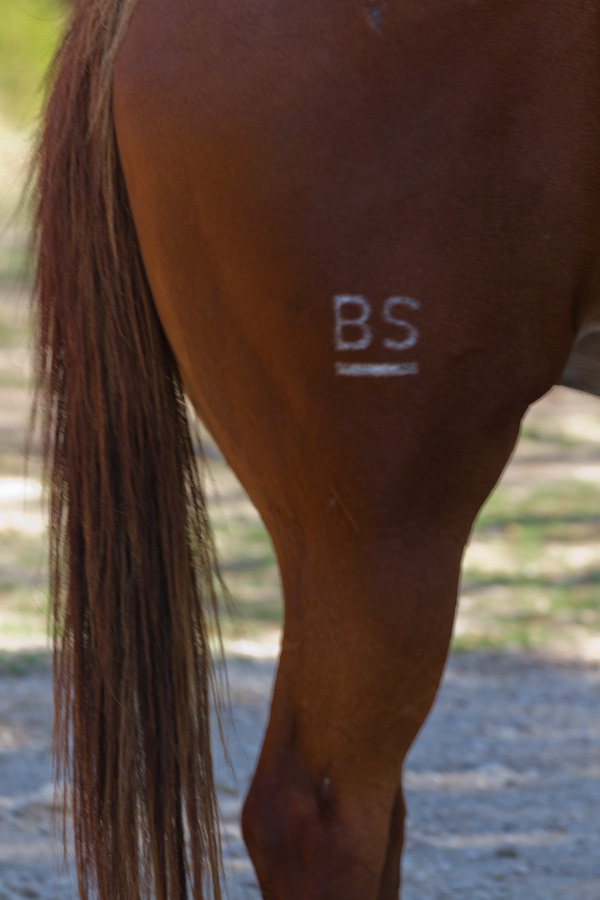 Brand