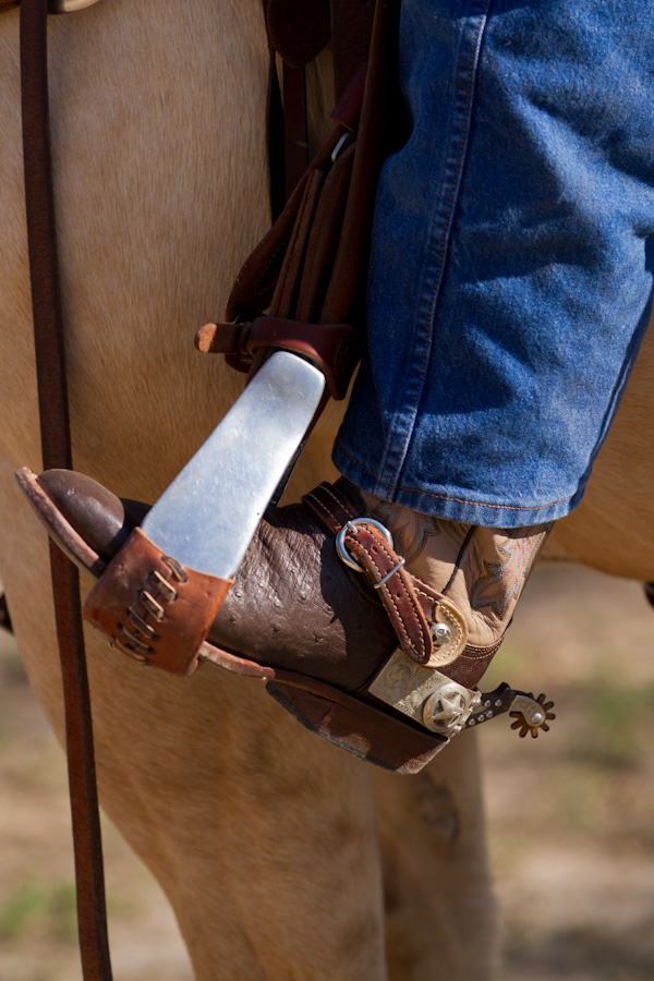 Forward in the Saddle